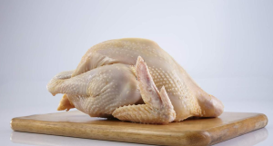 1 ekor ayam kampung