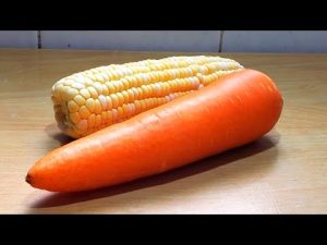 Bahan Sayur