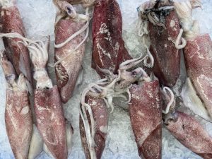 Bahan-Bahan Utama Sambal Sotong Khas Malaysia