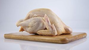 1 ekor ayam kampung atau ayam negeri