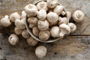 jamur champignon