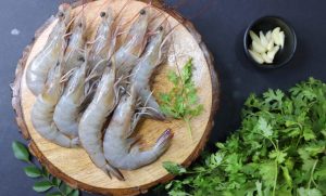 udang